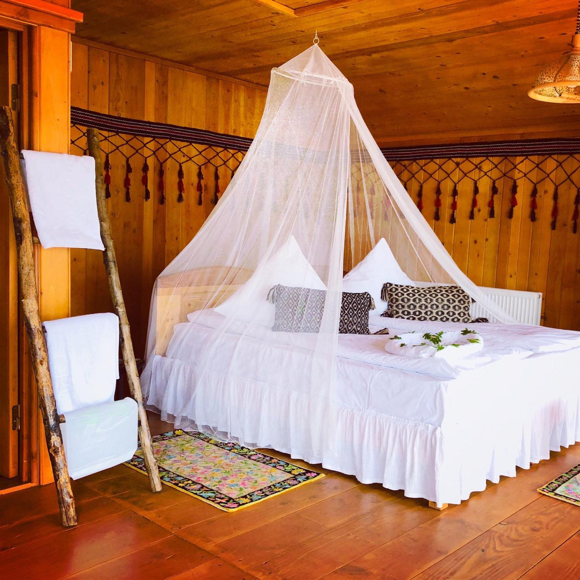 Dream Tricule Villa Svinita Exterior photo