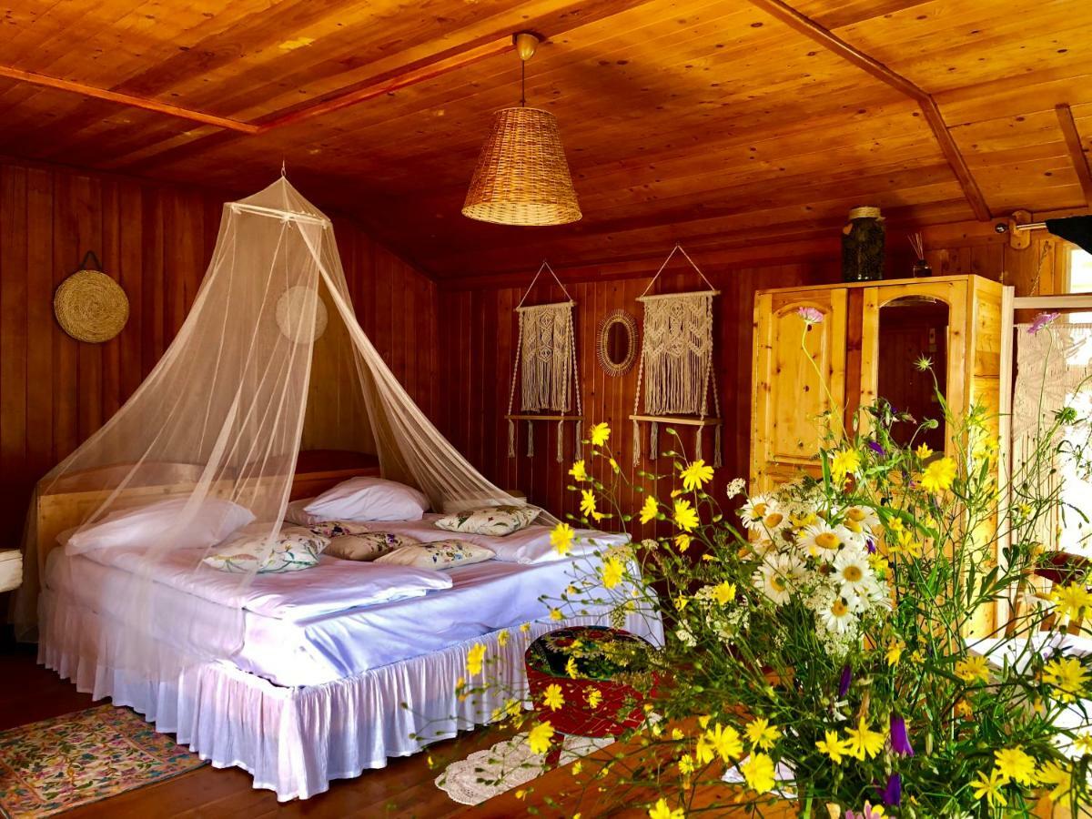 Dream Tricule Villa Svinita Exterior photo